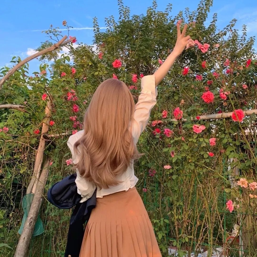 猫猫的奇幻漂流